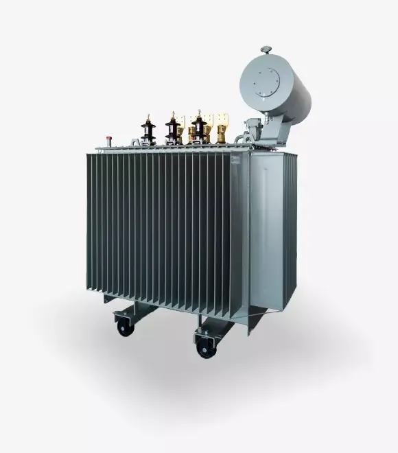 HV-Side Switchable Transformers